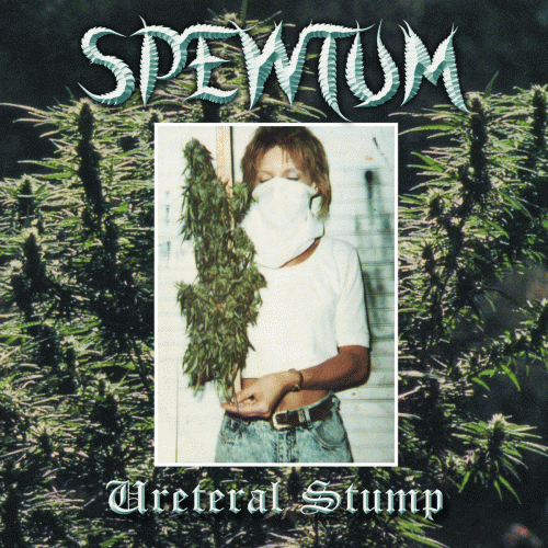 Spewtum : Ureteral Stump